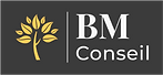 bm-conseil